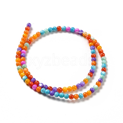 Dyed Natural Freshwater Shell Beads Strands X-SHEL-G014-05C-04-1