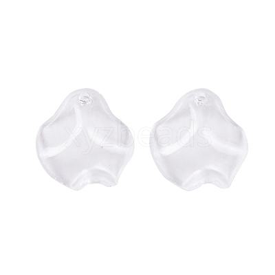 Transparent Acrylic Pendants TACR-G050-01F-1