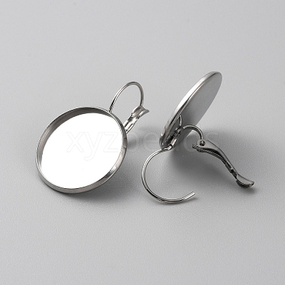 304 Stainless Steel Hoop Earring Findings STAS-WH0001-17D-P-1