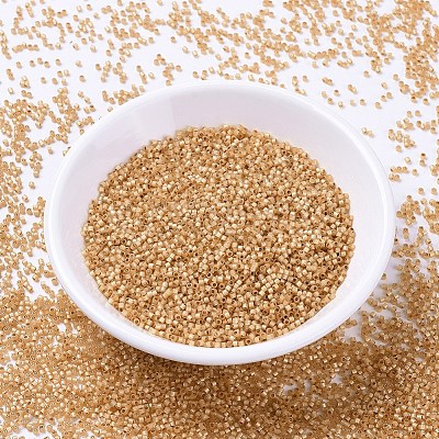 MIYUKI Delica Beads SEED-X0054-DB2171-1