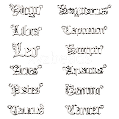 24Pcs 2 Sets Zinc Alloy Jewelry Pendant Accessories FIND-FW0001-09P-1