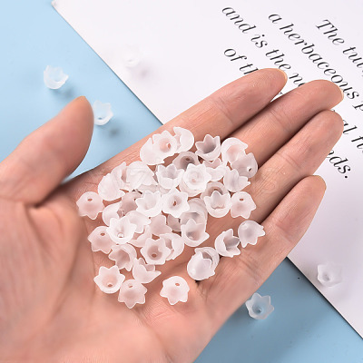 Transparent Acrylic Beads Caps PL543-1-1