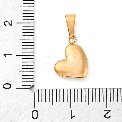 PVD Vacuum Plating 304 Stainless Steel Charms STAS-I127-068G-1