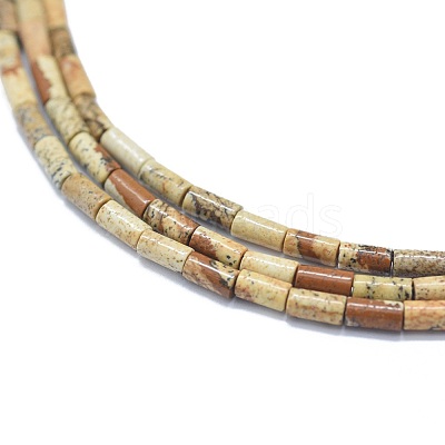 Natural Picture Jasper Beads Strands G-F631-B10-1