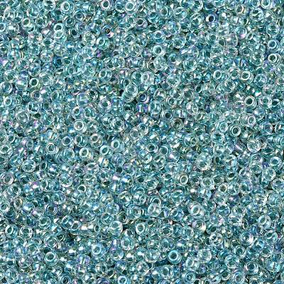 MIYUKI Round Rocailles Beads X-SEED-G007-RR0263-1