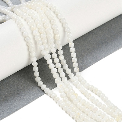 Natural Cultured Freshwater Shell Beads Strands BSHE-H109-03B-1