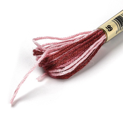 10 Skeins 6-Ply Polyester Embroidery Floss OCOR-K006-A60-1