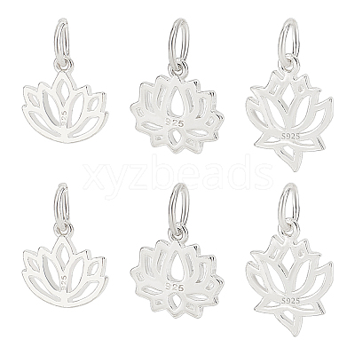 6Pcs 3 Styles 925 Sterling Silver Charms STER-PH0002-86-1