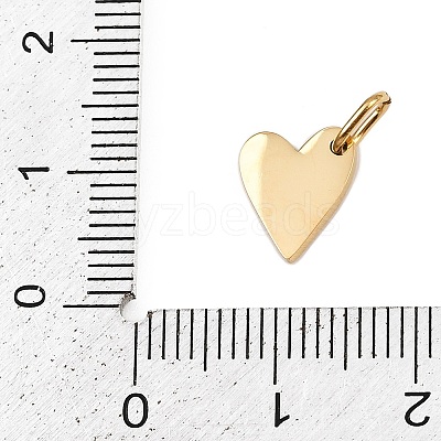 304 Stainless Steel Charms STAS-L291-01G-O-1