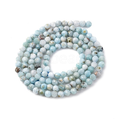 Natural Larimar Beads Strands G-F785-B01-01-1