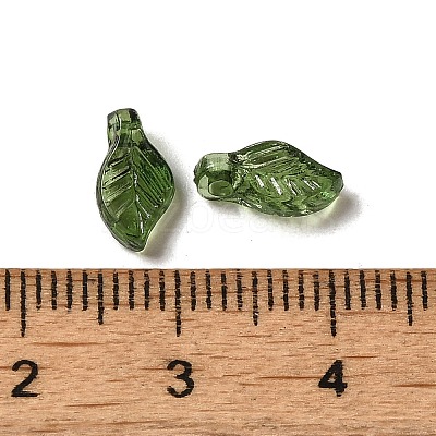 Transparent Acrylic Charms TACR-G041-01B-1