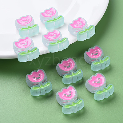 Transparent Acrylic Beads MACR-S374-03B-05-1