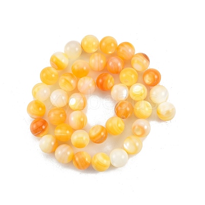 Natural Golden Yellow Shell Beads Strands SSHEL-G024-01E-1