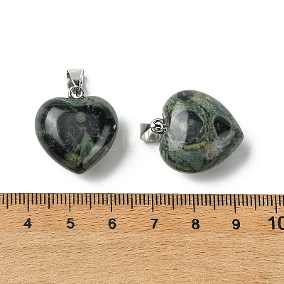 Natural Kambaba Jasper Pendants G-F820-10A-09-1