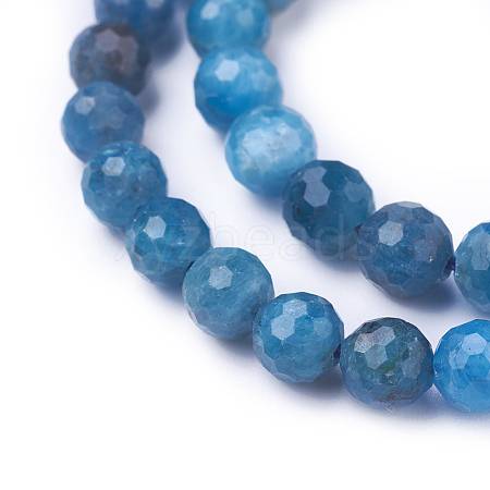 Natural Apatite Beads Strands G-E538-01-1