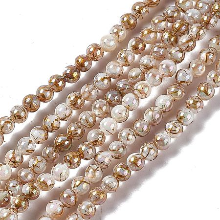 Drawbench Style Natural Freshwater Shell Beads Strands SHEL-F003-10A-1