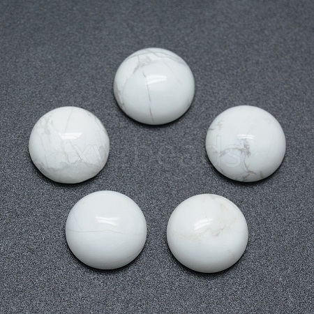 Natural Howlite Cabochons X-G-P393-R32-10mm-1
