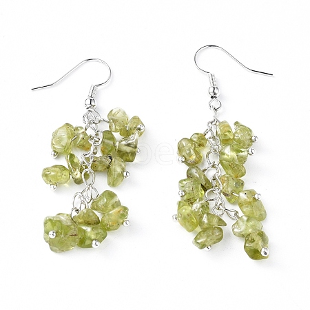 Dangle Earrings EJEW-E255-A11-1