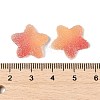 Imitation Candy Food Style Resin Cabochons RESI-R461-02L-3