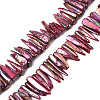 Electroplated Natural Freshwater Shell Beads SHEL-N026-197D-1