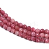 Natural Rhodonite Beads Strands G-P553-G06-01-4