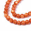 Natural Freshwater Shell Beads Strands SHEL-N003-24-B06-3