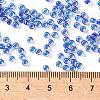 TOHO Round Seed Beads X-SEED-TR08-0189-4