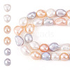2 Strands Natural Cultured Freshwater Pearl Beads Strands PEAR-TA0001-28-2