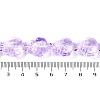 Transparent Glass Enamel Beads Strands GLAA-B021-06B-4