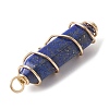 Natural  Lapis Lazuli Copper Wire Wrapped Pointed Pendants PALLOY-JF02462-03-3