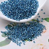 MIYUKI Delica Beads X-SEED-J020-DB0149-1