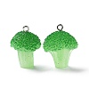 Opaque Resin Vegetables Pendants RESI-H144-01-2