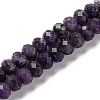 Natural Lepidolite Beads Strands G-K380-A13-01-1