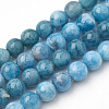 Natural Apatite Beads Strands G-S150-18-8mm-1