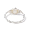 Horse Eye Natural Pearl Finger Rings RJEW-JR00844-02-4