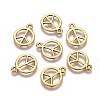 Tibetan Style Alloy Charms X-GLF11179Y-1