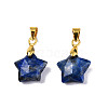 Natural Lapis Lazuli Charms X-G-N326-142-02-2
