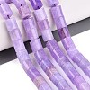 Dyed Natural White Jade Beads Strands G-Q606-77A-03-1