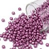 TOHO Round Seed Beads X-SEED-TR08-0563F-1