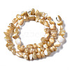 Natural Trochid Shell/Trochus Shell Beads Strands SSHEL-N034-78-B01-2