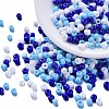 6500Pcs 300G 3 Colors Glass Seed Beads SEED-LS0001-03-1