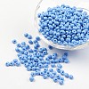 Opaque Glass Seed Beads X-SEED-R032-A08-1