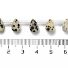 Natural Dalmatian Jasper Beads Strands G-Q167-A20-02-4