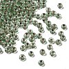Transparent Stripe Glass Seed Beads GLAA-NH0001-06C-1