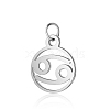 Non-Tarnish 304 Stainless Steel Charms STAS-T036-T513-A4-1