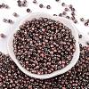 Glass Seed Beads SEED-A032-06O-2