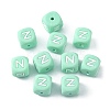 Silicone Beads for Bracelet or Necklace Making SIL-TAC001-04A-N-2