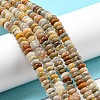 Natural Crazy Lace Agate Beads Strands X-G-K343-C04-02-2