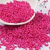 Baking Paint Glass Seed Beads X-SEED-S042-05B-68-1