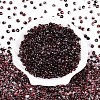 6/0 Gradient Color Glass Seed Beads SEED-N007-36K-2